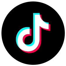 100 Followers TikTok ITALIANI REALI